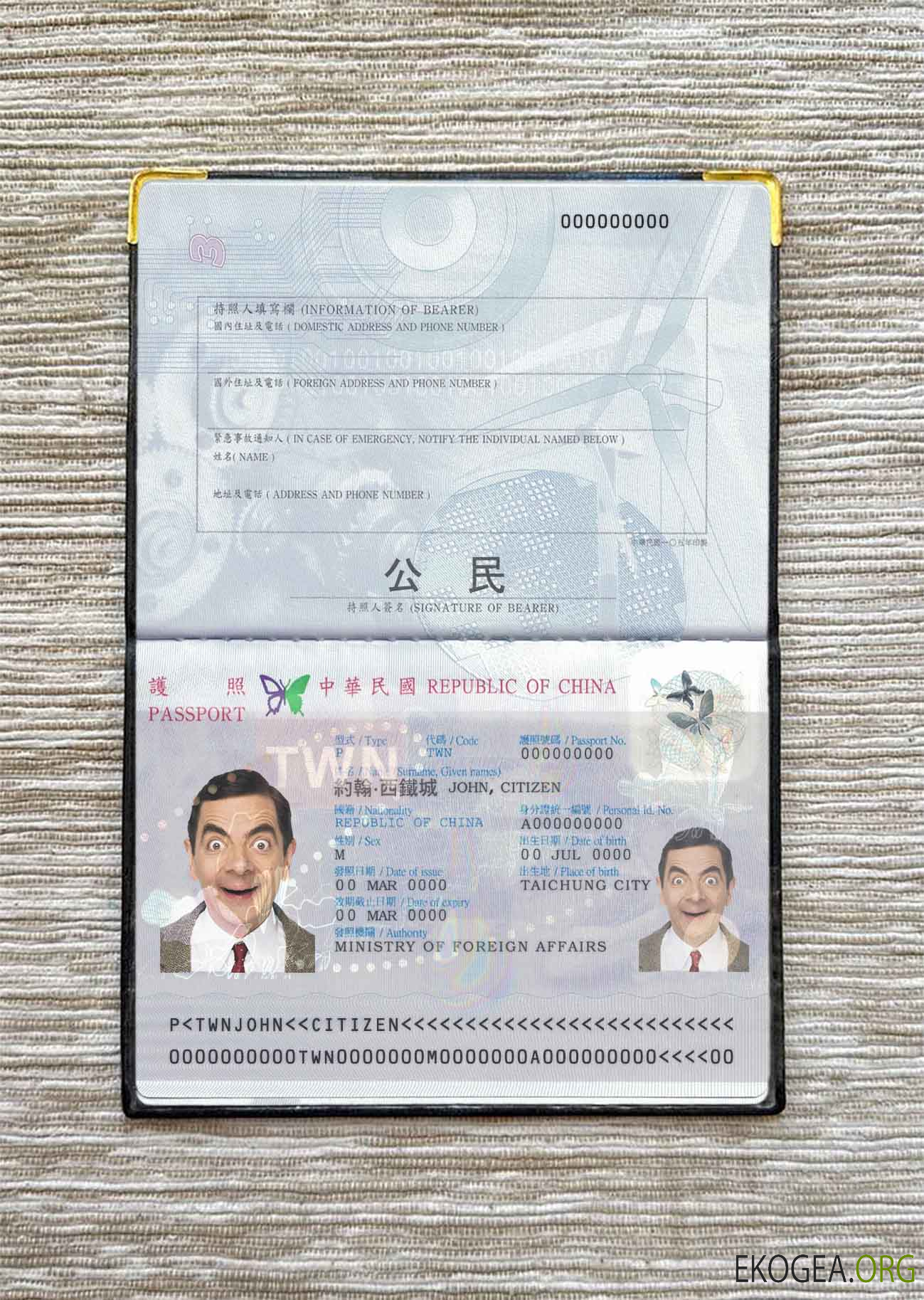 Look de photo de passeport de Taïwan